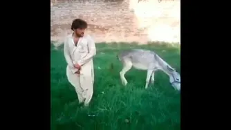 خر بازی