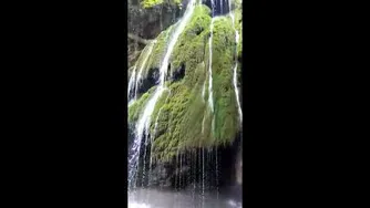طبیعت بکر
