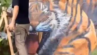 هنر نقاشی...نقاشی حرفه‌ای...