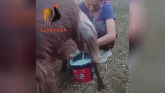 با افتخار روستایی ام لحظه هاتون ناب و عاشقانه