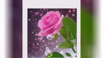 سلااااااام صبح زیباتون بخیر