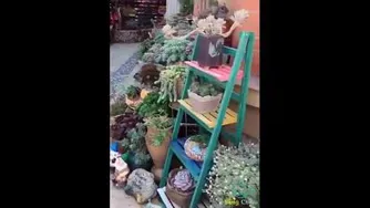 زیباترین و شگفت انگیزترین باغ دنیا😍😍