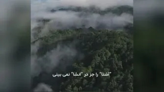 کلمات وارونه
