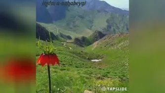موسیقی بختیاری