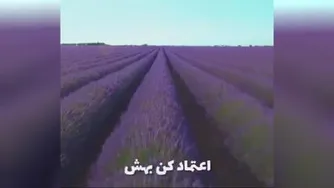 به خدا اعتماد کن