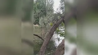 باغ بهادران اصفهان
