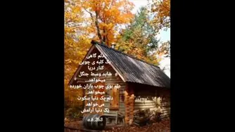 کلیپ دلنوشته دلم گاهی یک .......