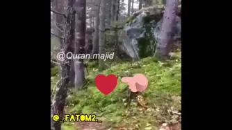 خلقت خدا