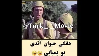 شبان زرنگ