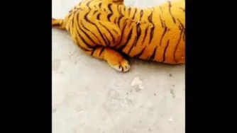 عروسک سگ