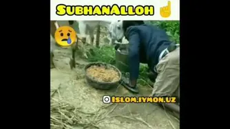 مردمعلول