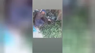 خرید خیار طنز