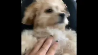 اثرات قرنطینه😑😂😂. کرونا