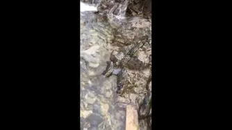 آب روان