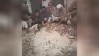 بفرمائید شام 😂😂😂😂 😂