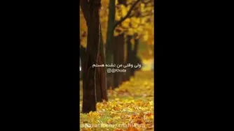 دکتر هلاکویی
