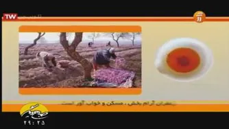 کلیپ درمان افسردگی ب ا گیاهان دارویی
