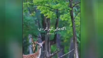 توکل به خدا