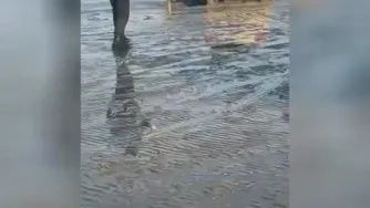 ماشین ساحل