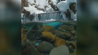 تمام موانع درون خودمونه