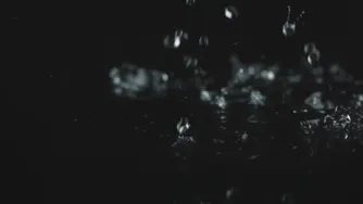 موزیک23