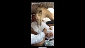 یک دقیقه فقد بخند😂😂