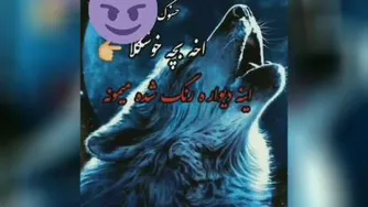 بدون عنوان
