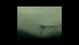 ارغوانم