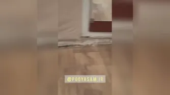 شرکت سمپاشی شیراز