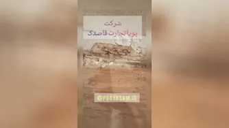 از بین بردن موریانه در شیراز