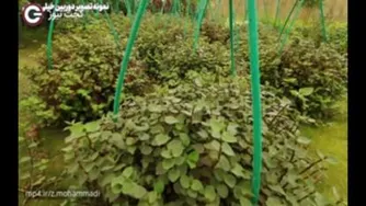 بررسی و جعبه‌گشایی اولیه هواوی Y7p