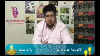 همه چیز درباره قارچ گانودرما - قسمت 6