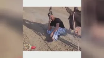 میگه زیر سایع شما هستم..🥶🤭🤣