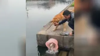 خودکشی نکنی😂🤪🤣