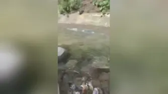 وقتی رفیقم ازم پول میخاد 😂🤣😂😂