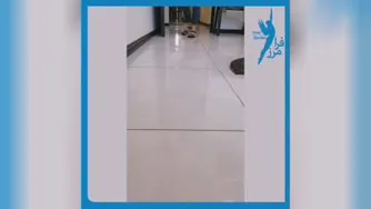 درمان صافی کف پا