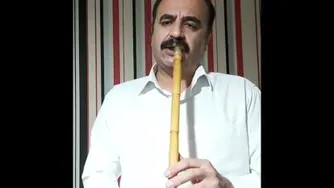 چهارمضراب دشتی