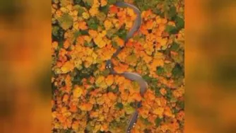 🍁🍁مناظر بسیار زیبای پاییزی 🍁🍁