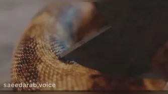 مار و اره