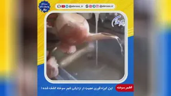 این کوزه قوری عجیب در نزدیکی شهر سوخته کشف شده !