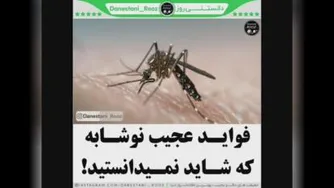 دانستنی روز