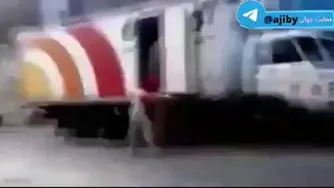 پت و مت واقعی اینا هستند