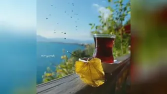 ❣دِنج یعنی قلب کسانی که حالت را خوب می کنند دِبش یعنی چایی که عطرش تو را مست