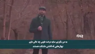 موزیک‌ویدئو تو می‌درخشی از خواننده ایرانی ساکن لندن در وصف حاج قاسم