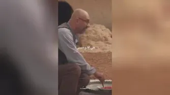تلاش و تقدیر