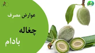 مضرات و عوارض مصرف چغاله بادام برای سلامتی!