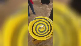 خط استوا