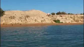 خطرات امواج موبایل برای سلامتی انسان