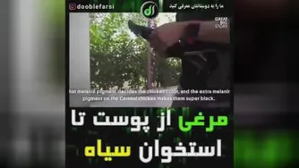 متفاوت باش و موفق