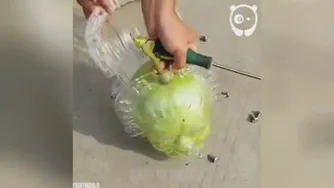 مگه میشه؟؟